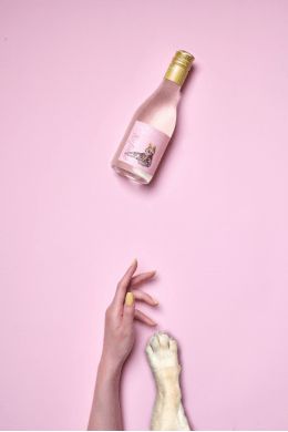 Cheers2Paws樂樂爪