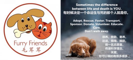 Cheers2Paws樂樂爪
