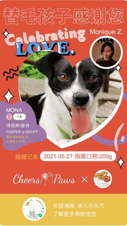 Cheers2Paws樂樂爪